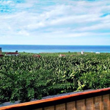 Apartamento El Tejar タサコルテ エクステリア 写真