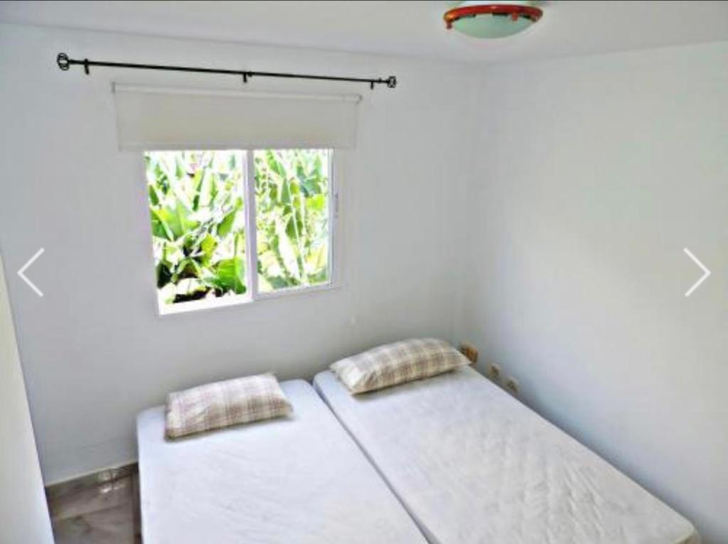 Apartamento El Tejar タサコルテ エクステリア 写真